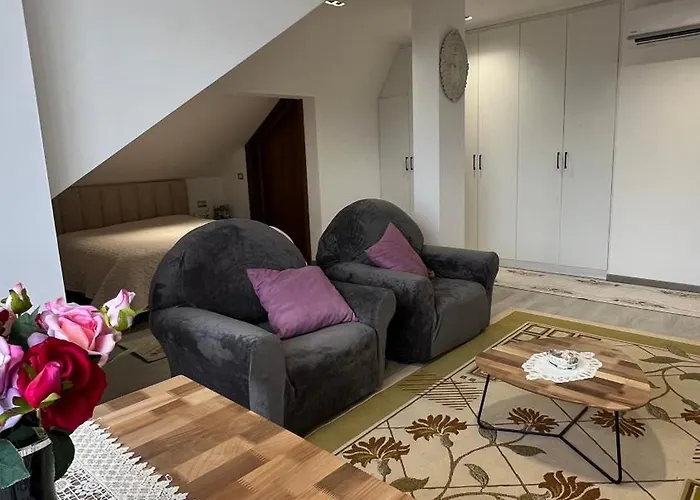 Bujtina Aldor ホテル